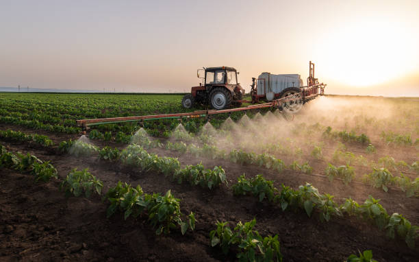 Professional Pest Control in Clarksburg, WV
