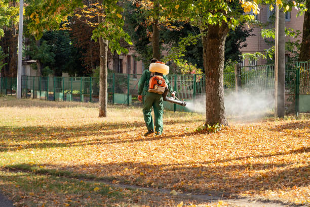Best Cockroach Control Services  in Clarksburg, WV