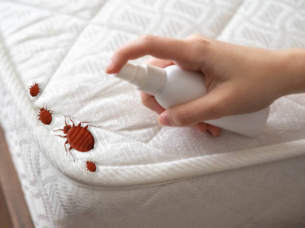 Best Pest Removal Services  in Clarksburg, WV