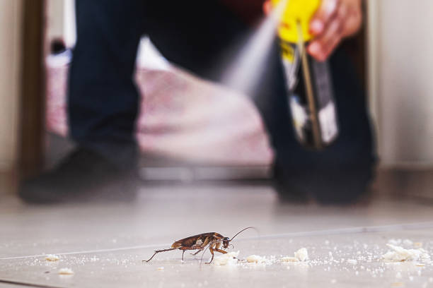 Best Best Pest Control Companies  in Clarksburg, WV